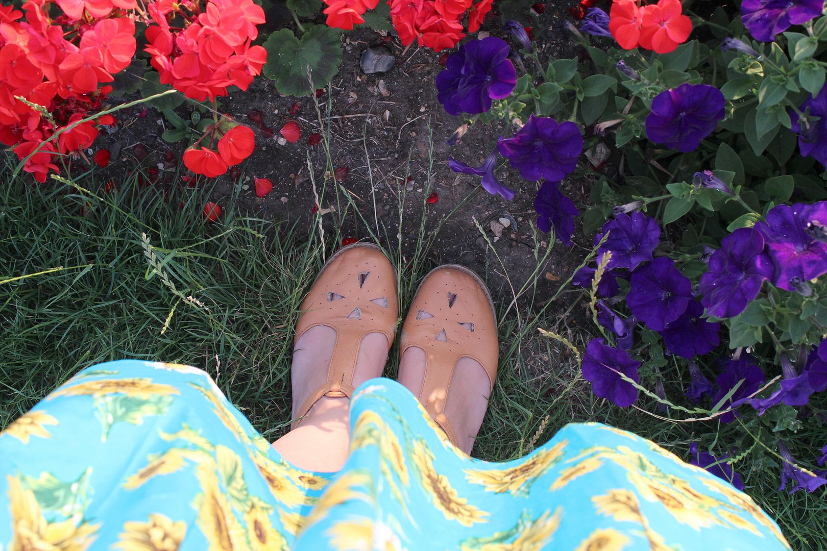  photo IMG_2269_zps94f5117a.jpg