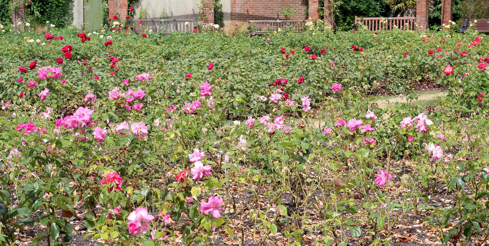 photo IMG_2424_zps90d8b6f7.jpg