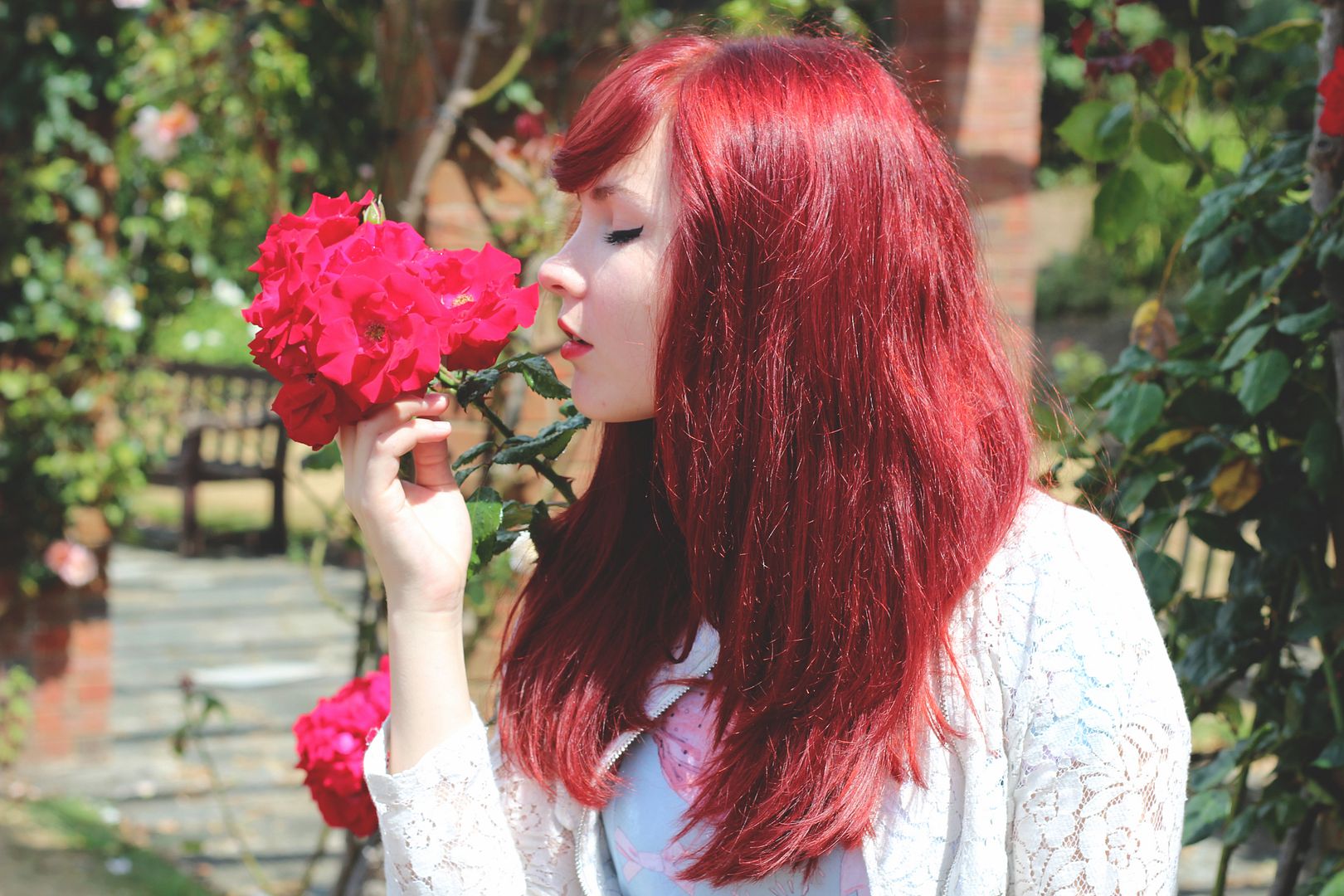 photo IMG_2449_zps5930f309.jpg