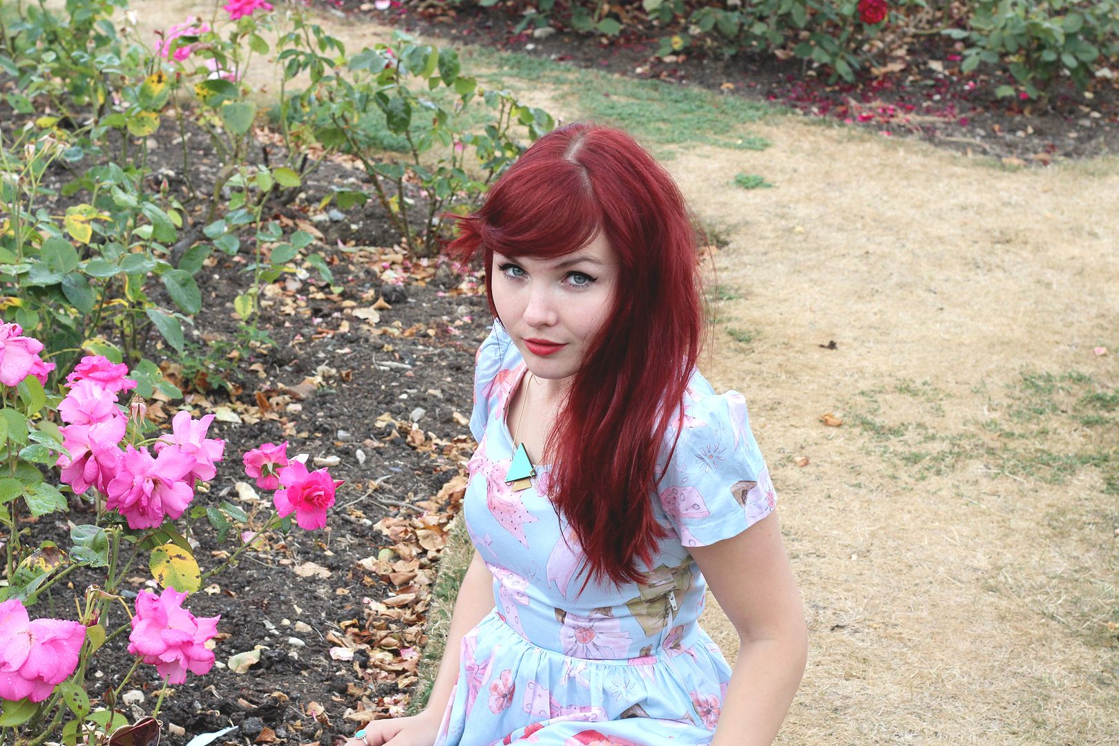 photo IMG_2570_zps24a1d5b8.jpg