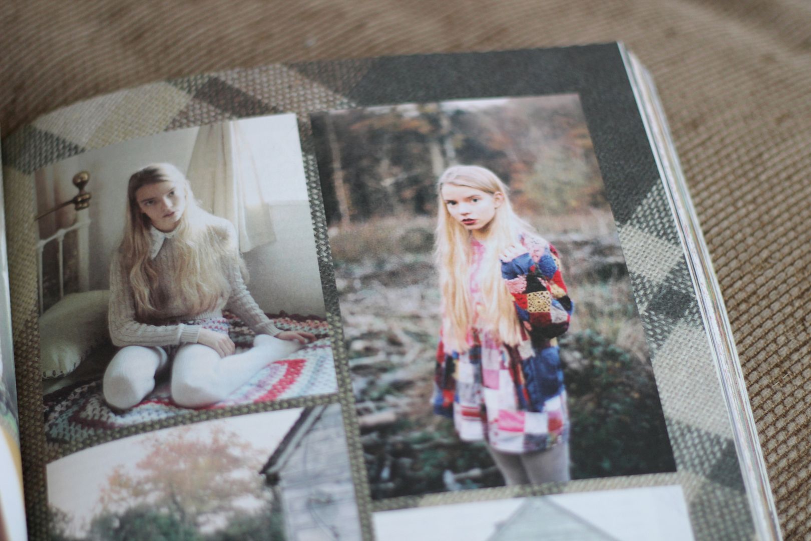 photo IMG_2860_zpsfdba17c2.jpg