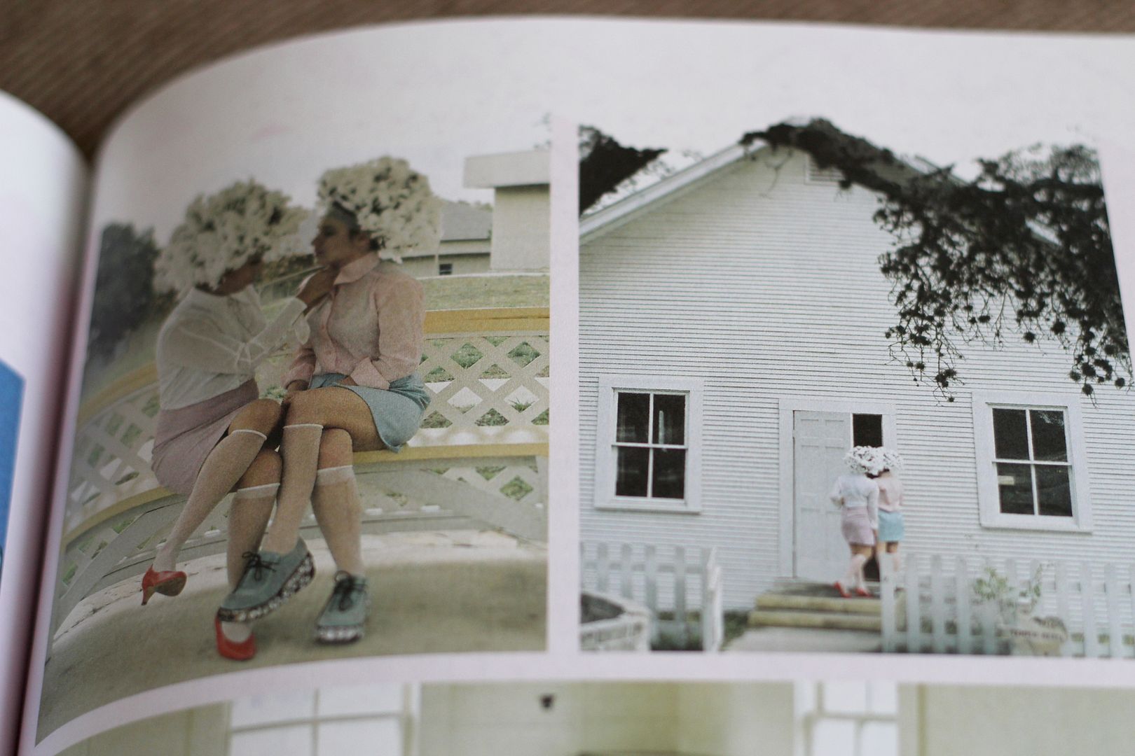 photo IMG_2861_zps3cc9b972.jpg