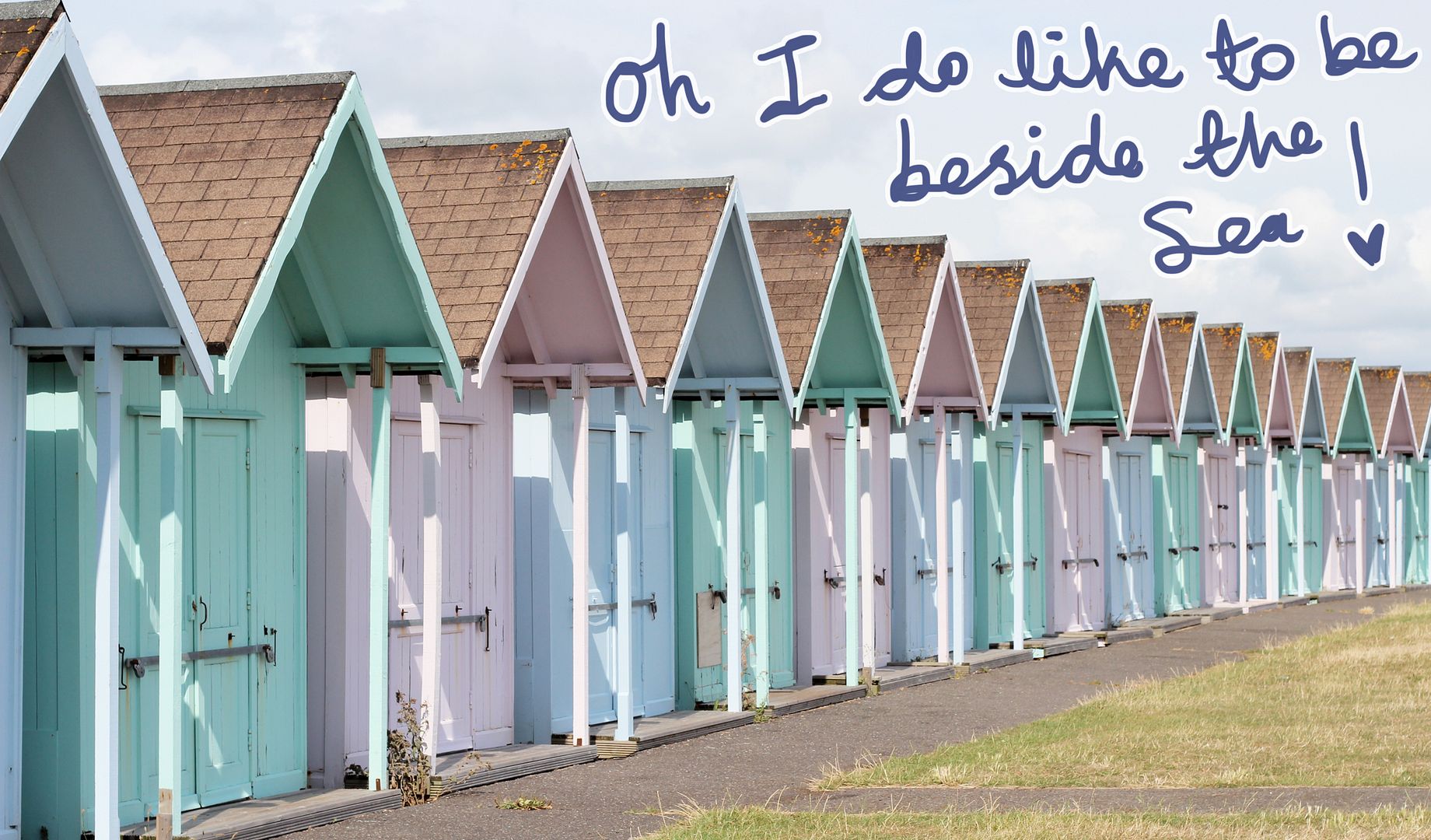  photo IMG_2687_zps14859225.jpg