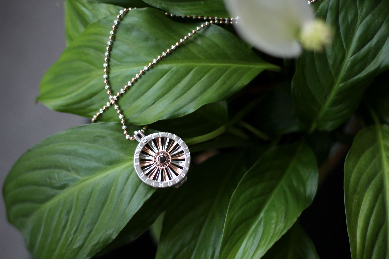 photo IMG_2930_zps35c90600.jpg