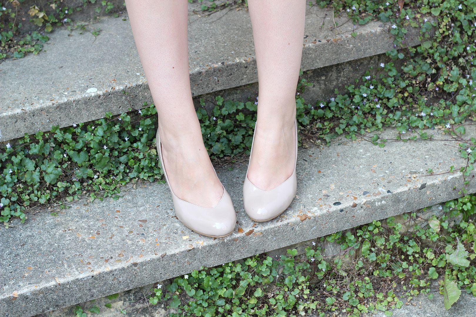 photo IMG_4126_zps044502cb.jpg