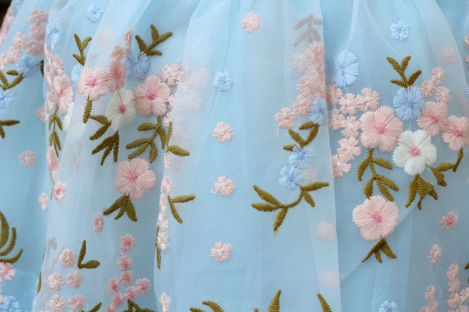 photo IMG_4131_zpse6f42ae1.jpg