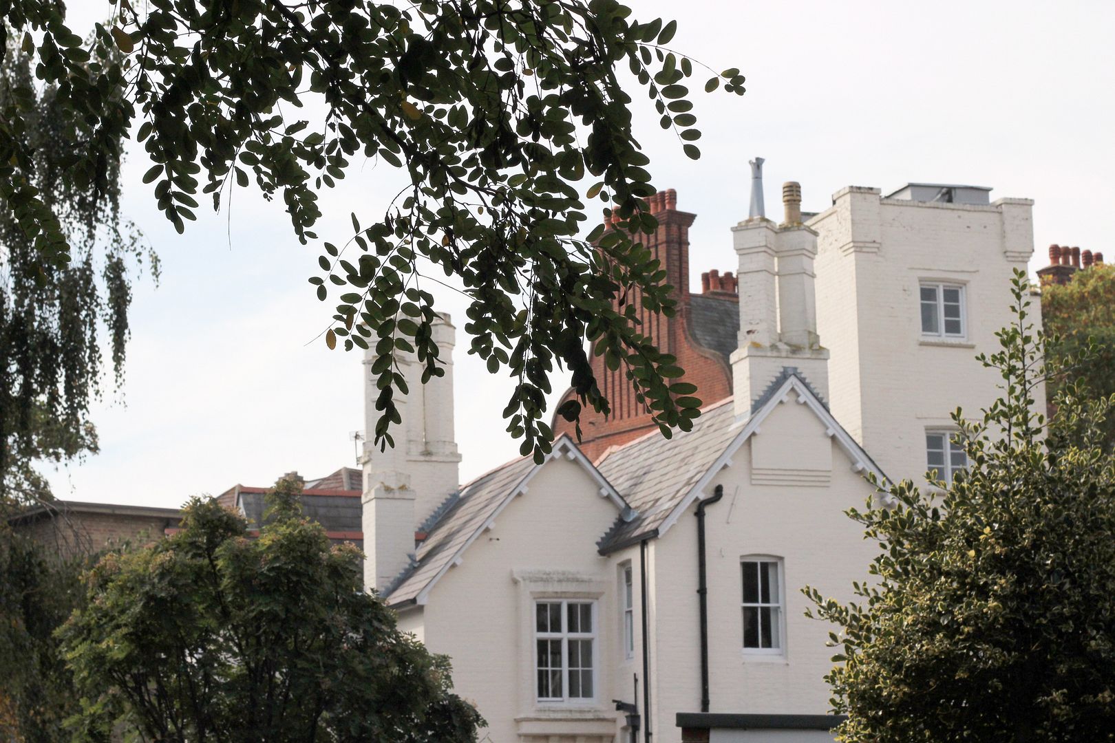 photo IMG_4602_zps3c5619ed.jpg