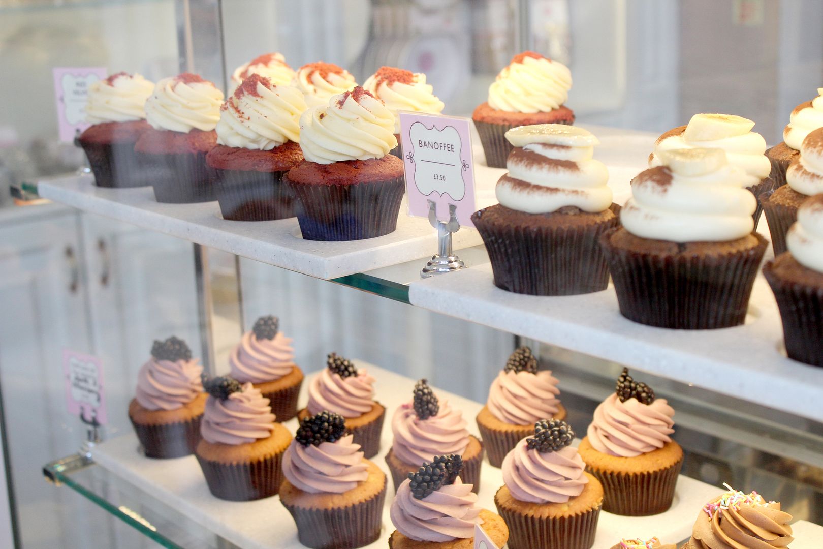 photo IMG_4907_zps4648284b.jpg