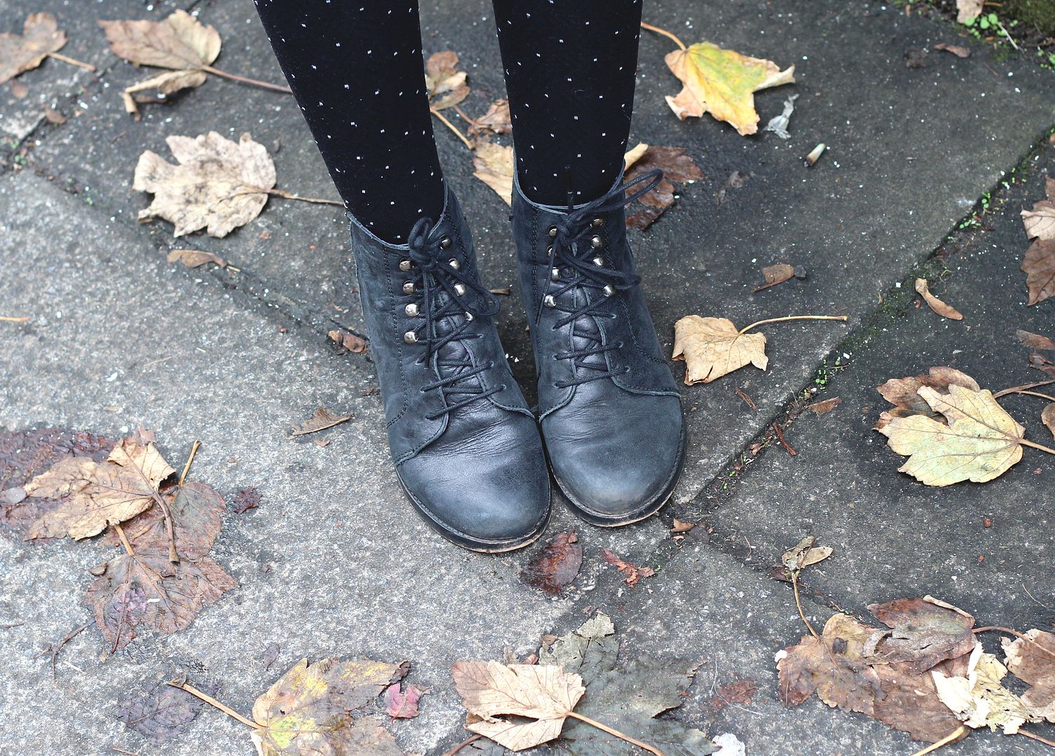  photo IMG_5600_zpsff2b7a68.jpg