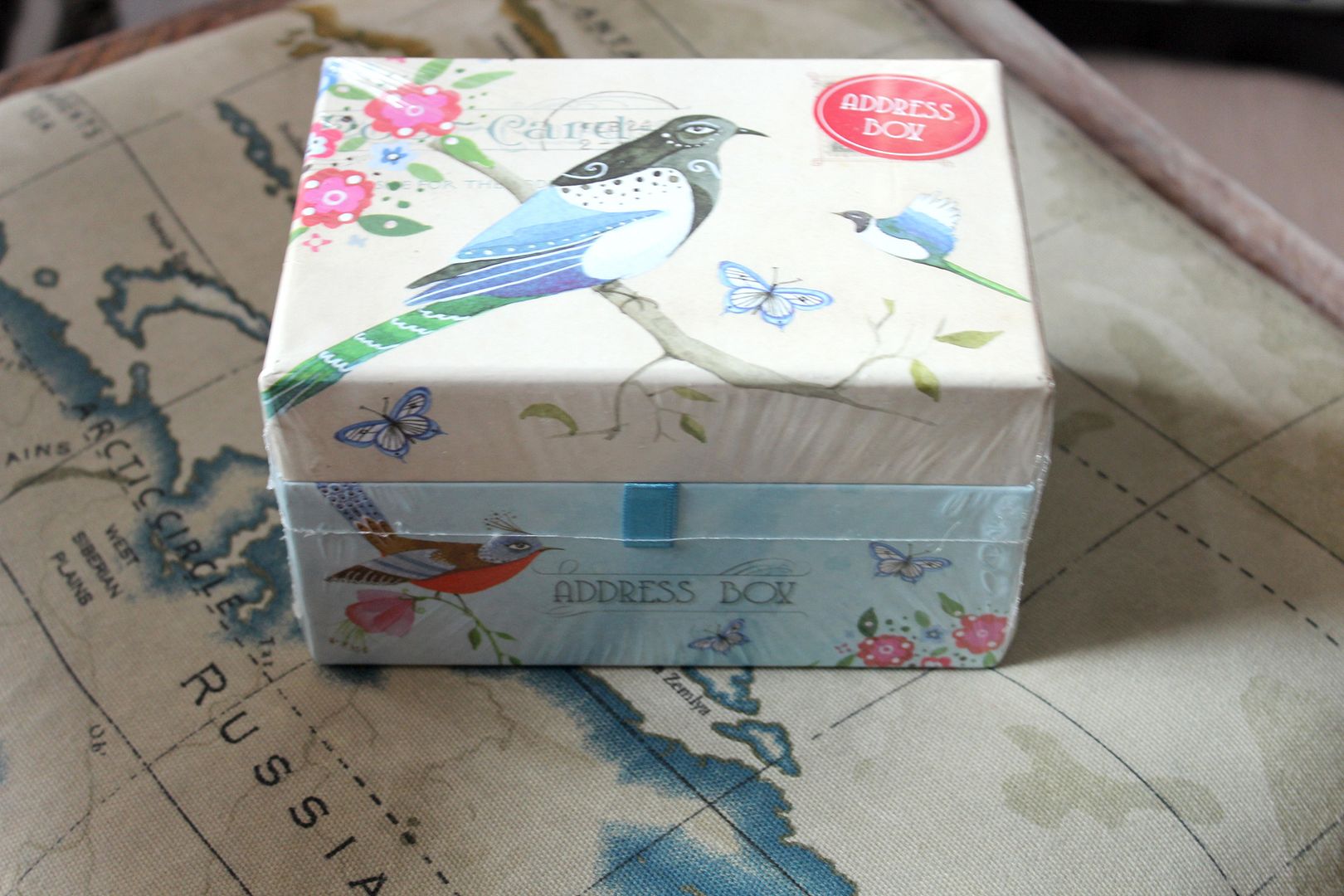  photo IMG_5598_zpsf9ca8c16.jpg