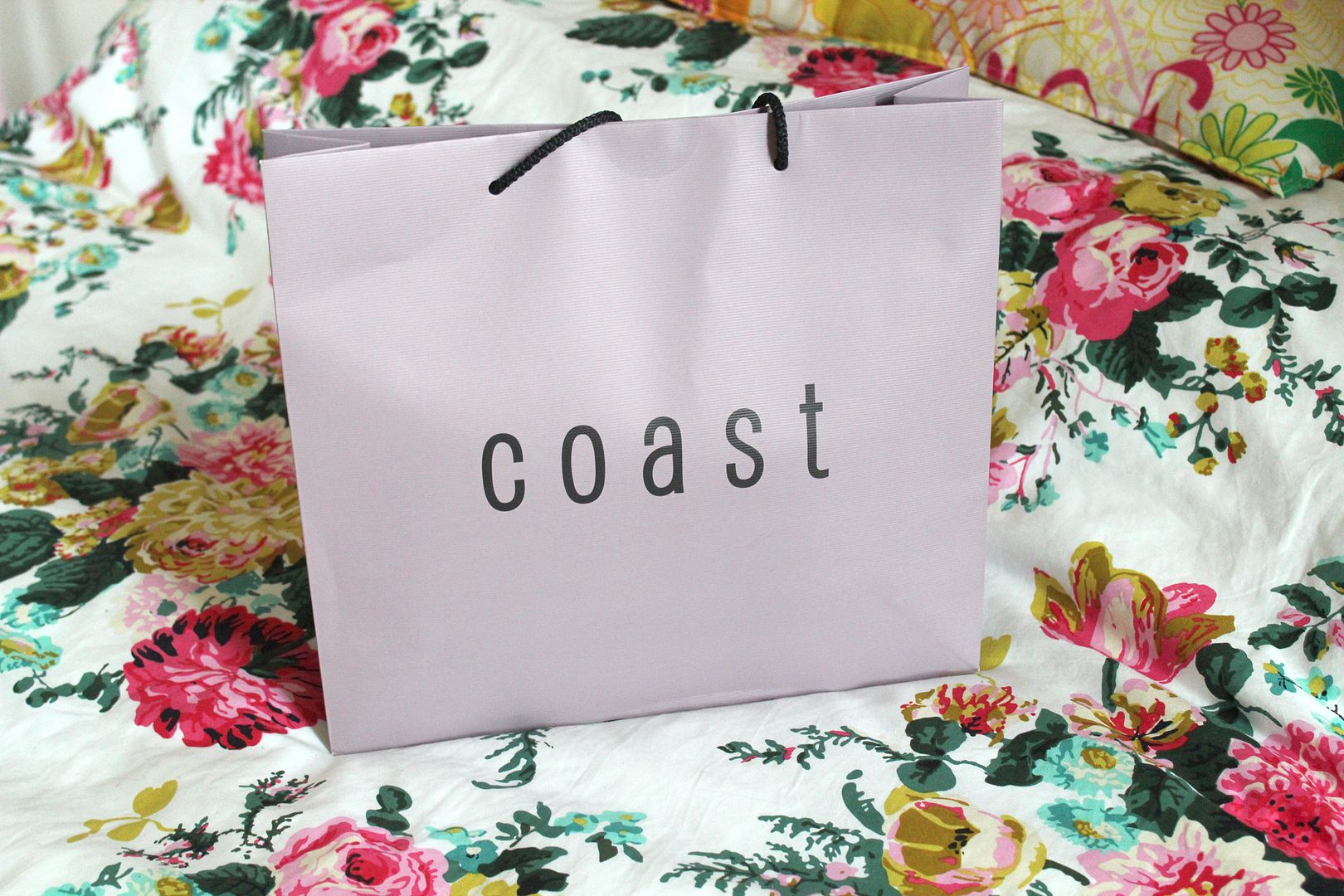  photo IMG_5801_zps84cc9d21.jpg