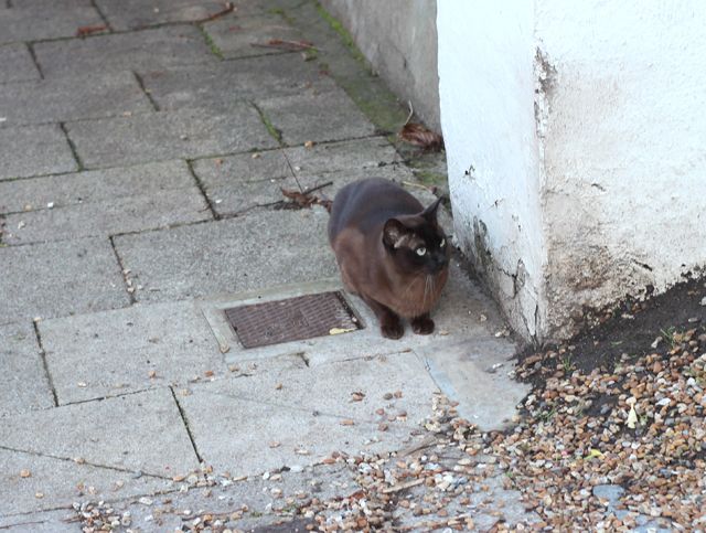 photo IMG_7495_zps2e9ace55.jpg