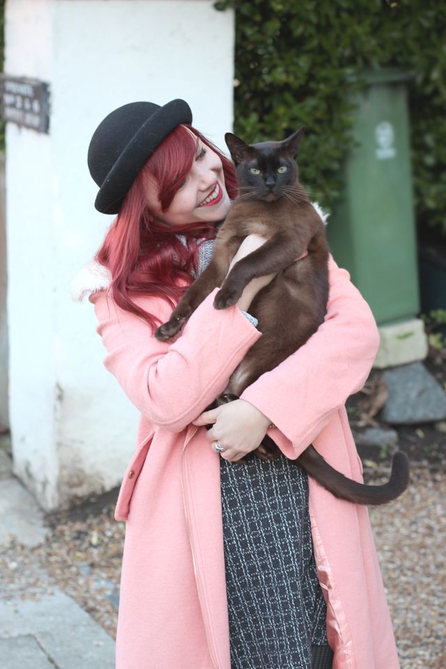 photo IMG_7500_zps8232d62d.jpg