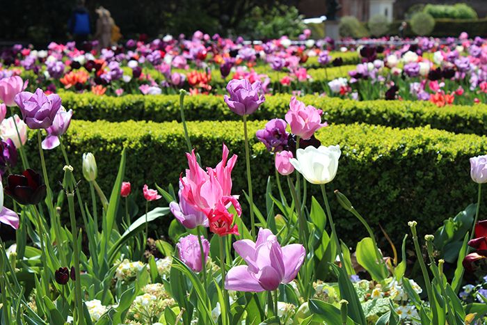  photo holland park 12_zps6e1bjwbg.jpg