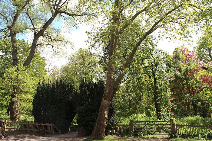  photo holland park 25_zpsqhgyqktw.jpg