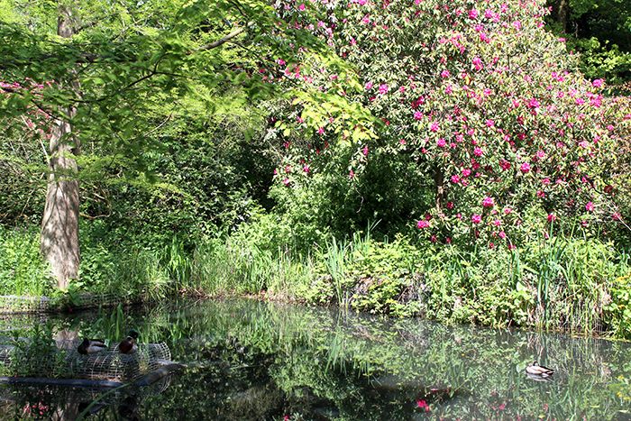  photo holland park 26_zpsg61gvwj8.jpg