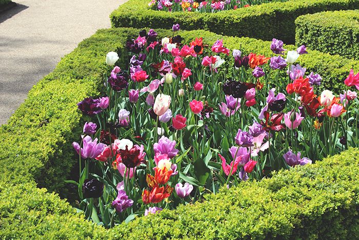  photo holland park 6_zpshnybzbhu.jpg