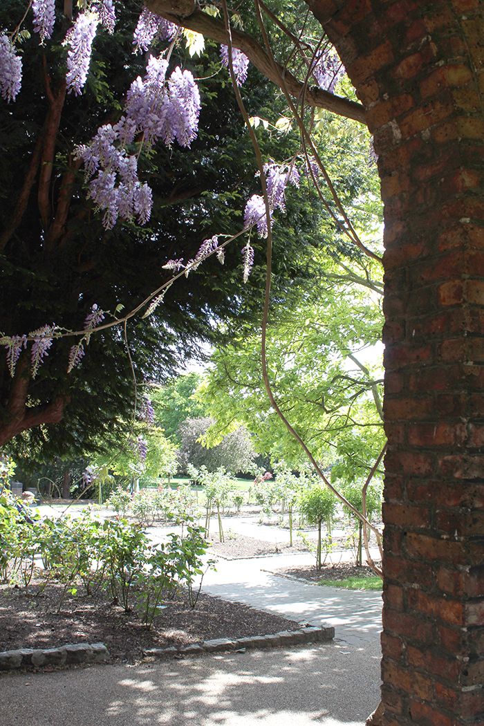  photo holland park_zpsraihwku7.jpg