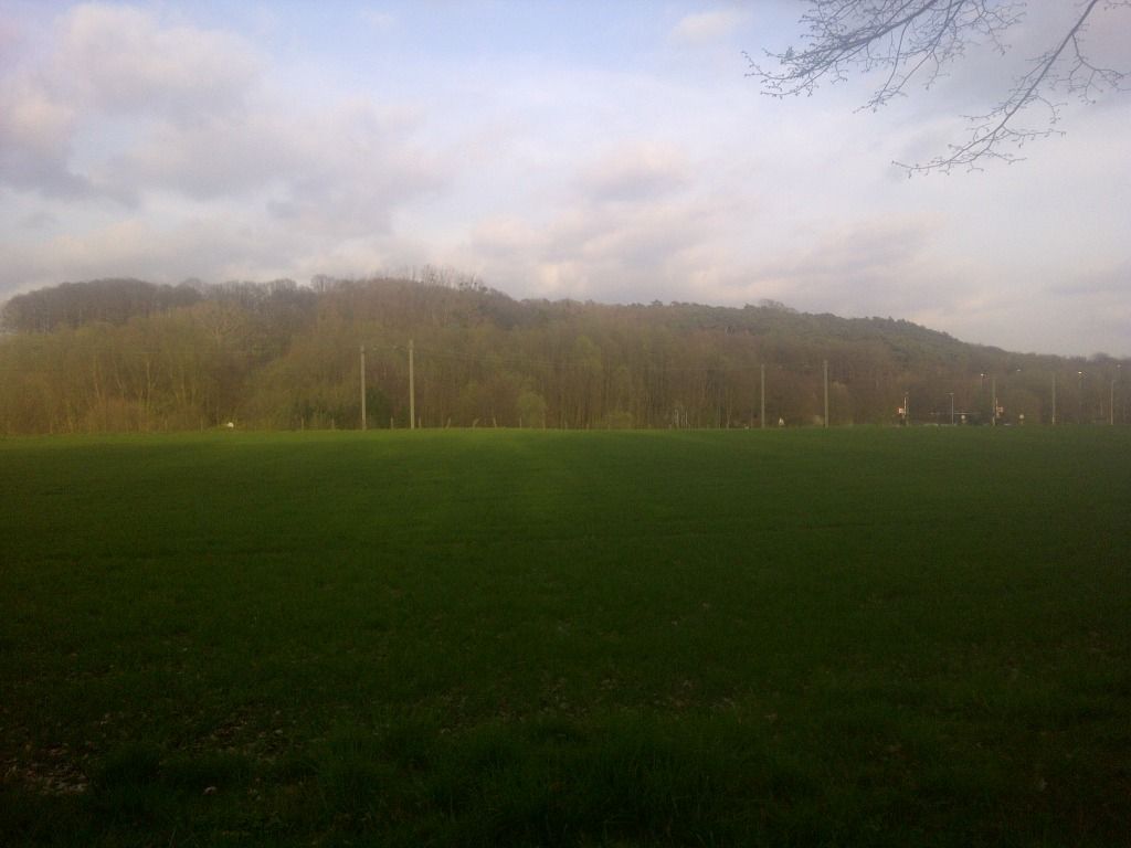 IMG-20120329-00825-1.jpg