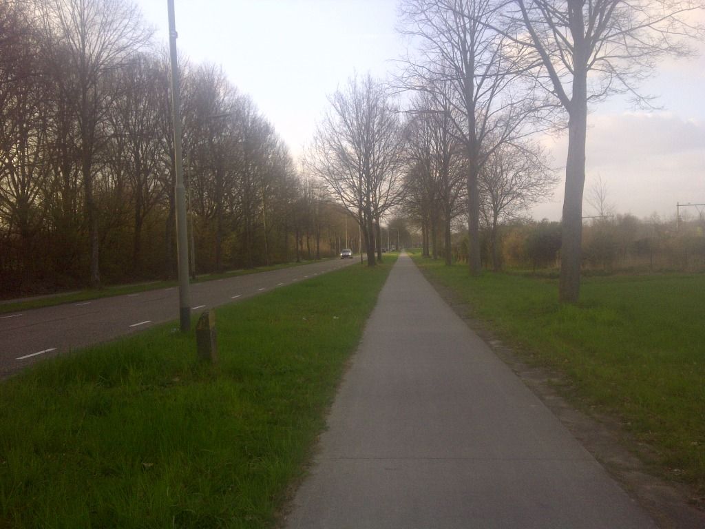IMG-20120329-00826-1.jpg