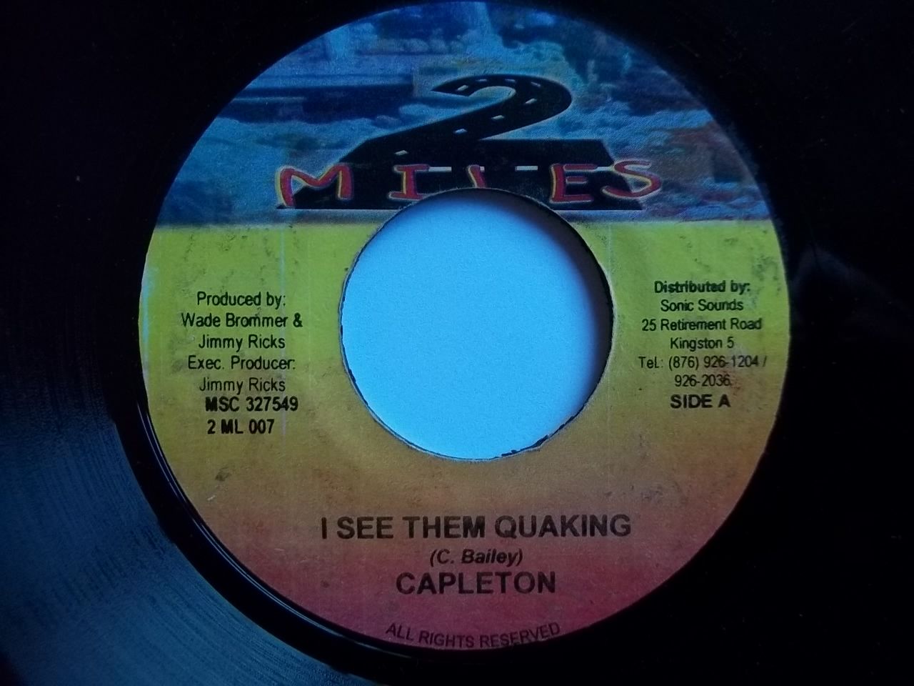 Capleton - I See Them Quaking