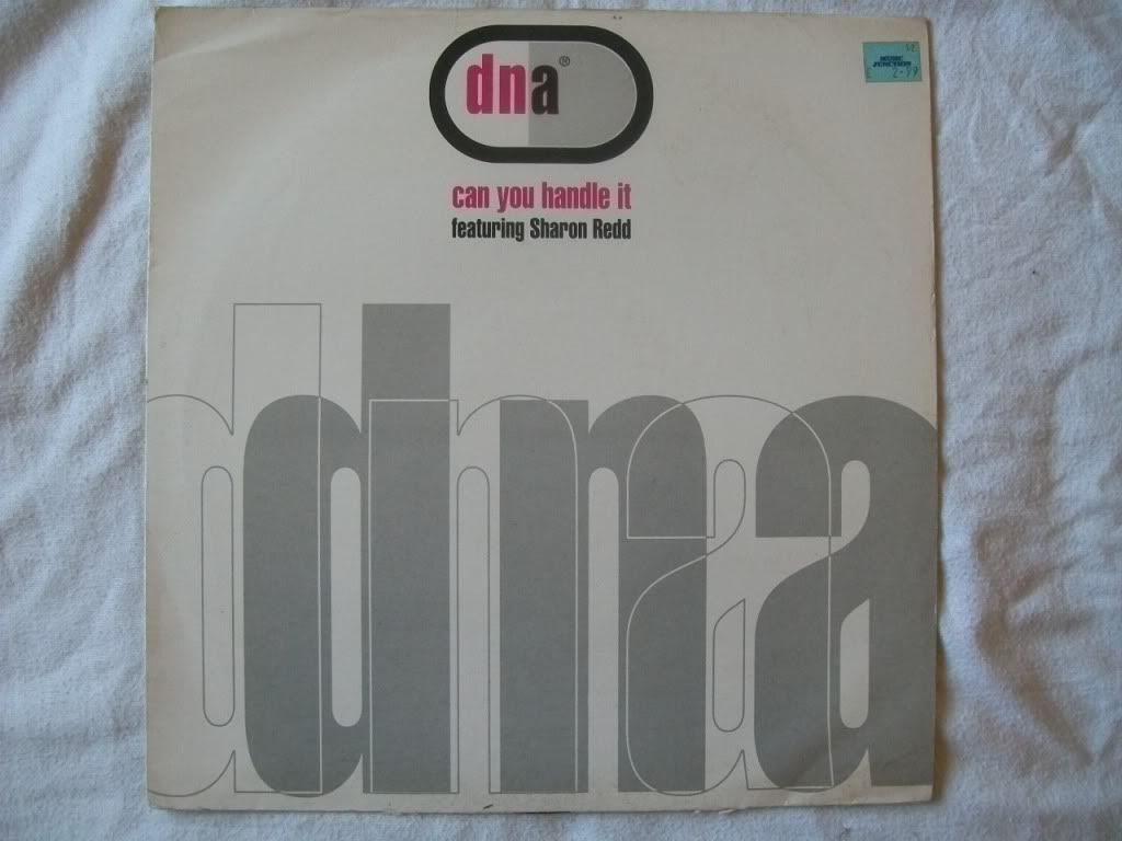 DNA ft Sharon Redd - Can You Handle It Vinyl