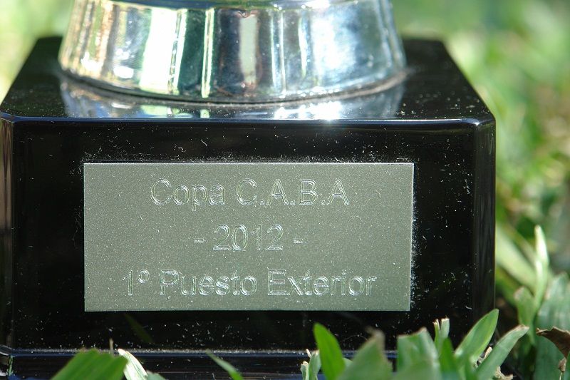 cup2012.jpg