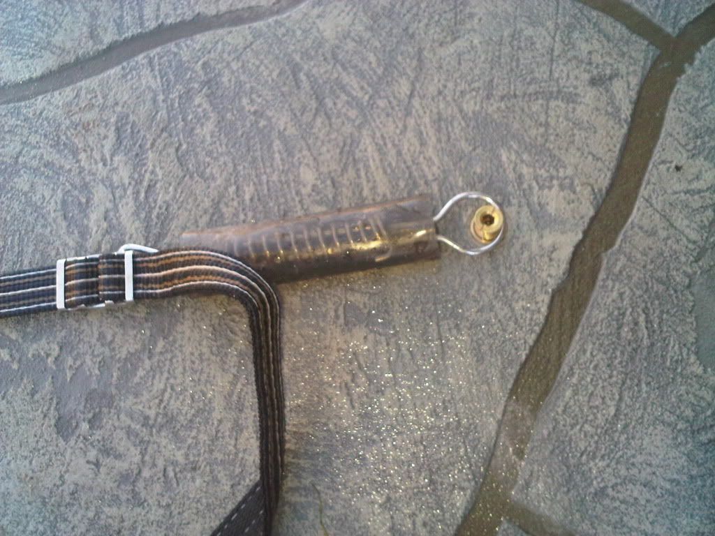 Swimming pool safety cover anchor, patterned concrete Pictures, Images and Photos