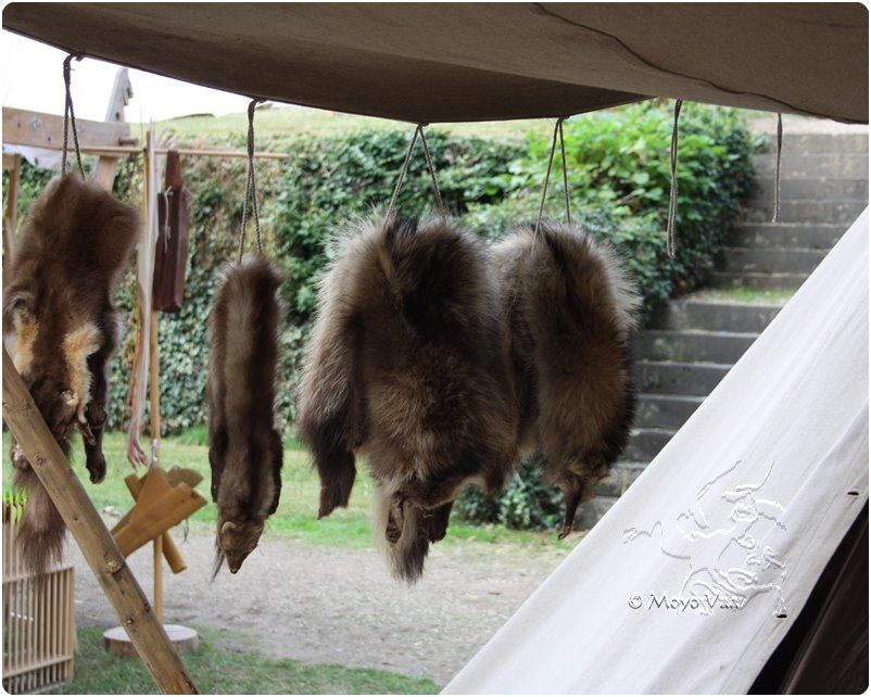 photo mmarkt10_zpsc1c56ab5.jpg