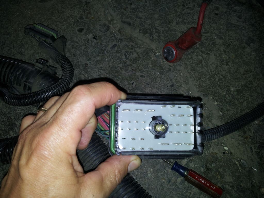 wiring harness help - GM Performance