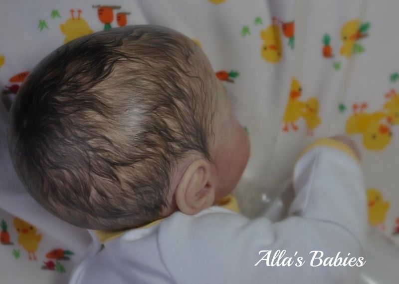 photo Bro4231_zpsca59a7e2.jpg