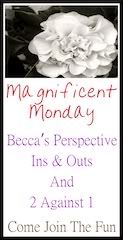 Magnificent Monday