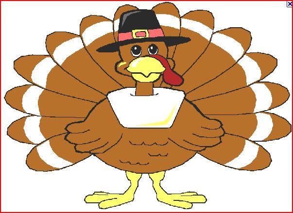 EETurkeypilgram.jpg