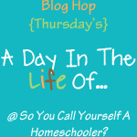 So You Call Yourself A Homeschooler?