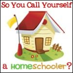 So You Call Yourself A Homeschooler?