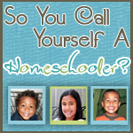 So You Call Yourself a Homeschooler