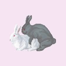  photo images_zpspnuwrmcl.jpg