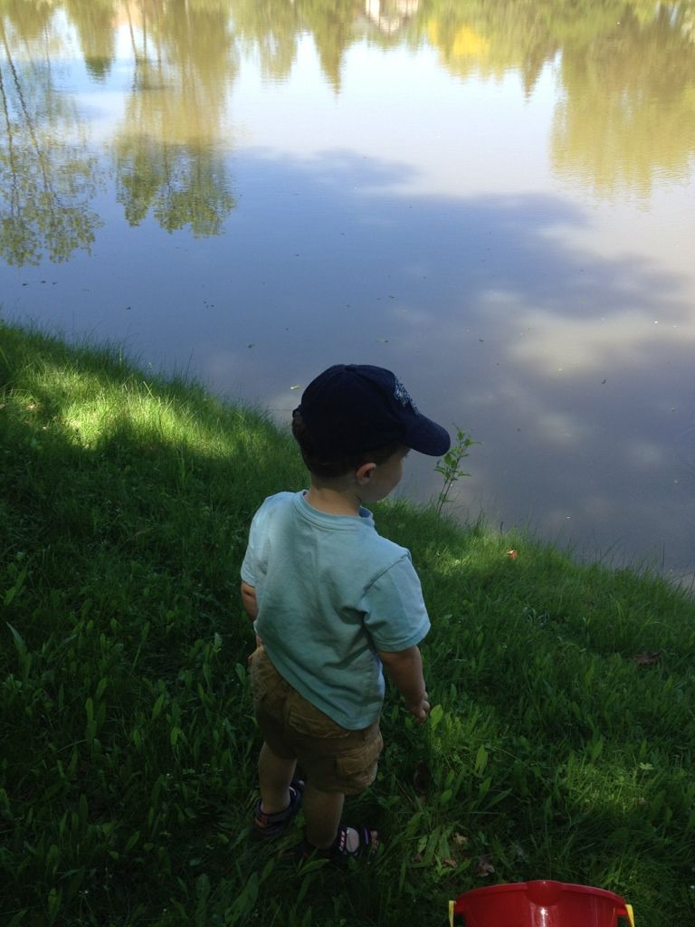 Watching our little snapper friend decide what to do