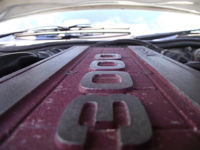 DSCF0218.jpg