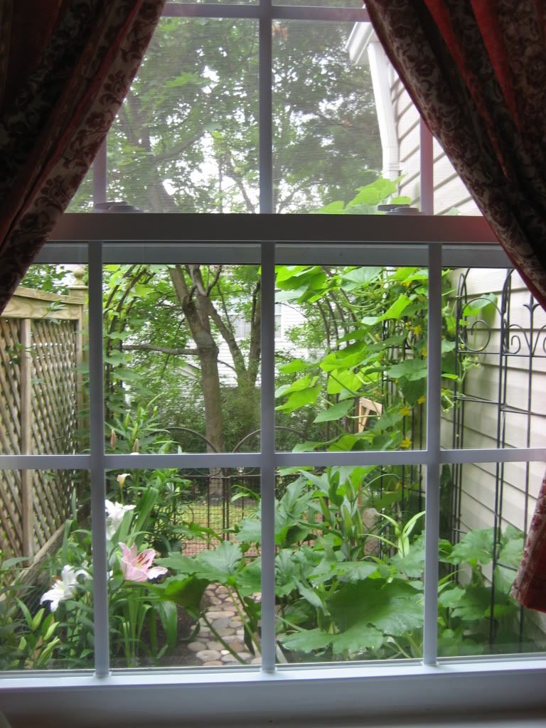 window view 