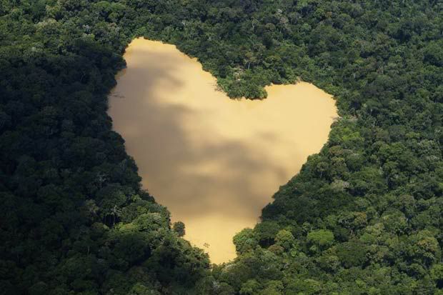 lago-floresta-amazonica.jpg