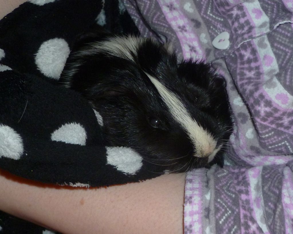 teddysnuggle.jpg