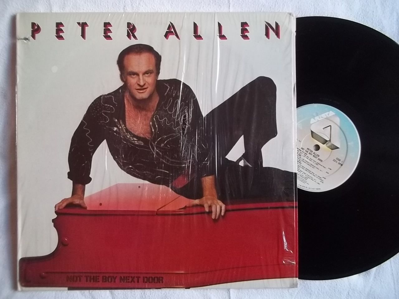 Peter Allen Not The Boy Next Door Records, LPs, Vinyl and CDs - MusicStack