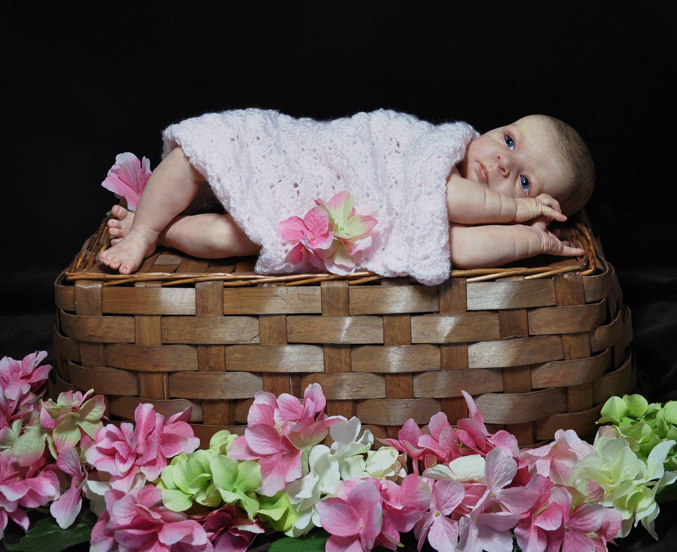 Allas Babies Beautiful Reborn Doll Amy Prototype Olga Auer  