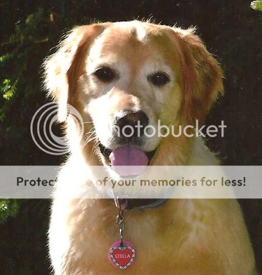 Photobucket - Video and Image Hosting