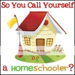 So You Call Yourself A Homeschooler?